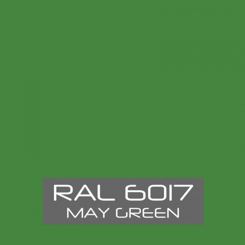 RAL 6017 May Green tinned Paint